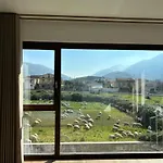 Vico